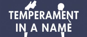 Темперамент в имени: как характер имени влияет на совместимость